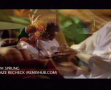[FULL REMIX VIDEO DOWNLOAD] T-PAIN V. ICE CUBE – IM SPRUNG – BIG BEAT RECHECK #WESTCOASTWEDNESDAY
