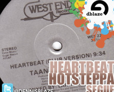 TAANA GARDNER “HEARTBEAT” SEGUE TO INI KAMOZE “HOTSTEPPER” (DENNIS BLAZE SAMPLEOGY ISSUE)