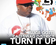 @SUGEGOTTI @DJBATTLECAT @CaliSwagDstrct TURN IT UP DENNIS BLAZE REFIX #ninjatools #fulldownload