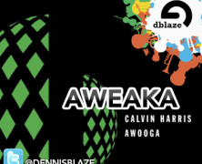 CALVIN HARRIS GET WEAK “AWEAKA” DENNIS BLAZE FLIP