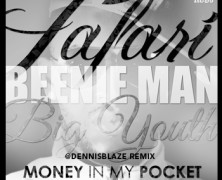 OFFICIAL REMIX for @generaltaf + @kingbeenieman MONEY IN MY POCKET DENNIS BLAZE REMIX #NINJATOOLS #REGGAE